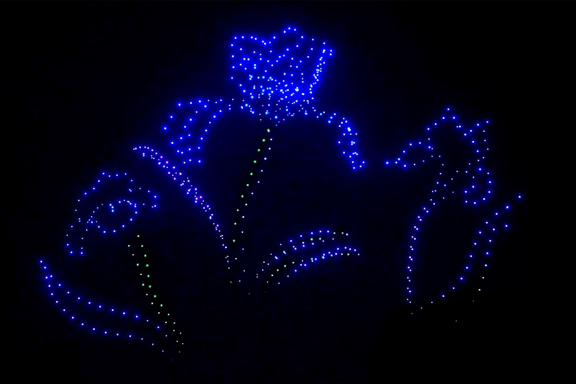 Masterpieces Take Flight